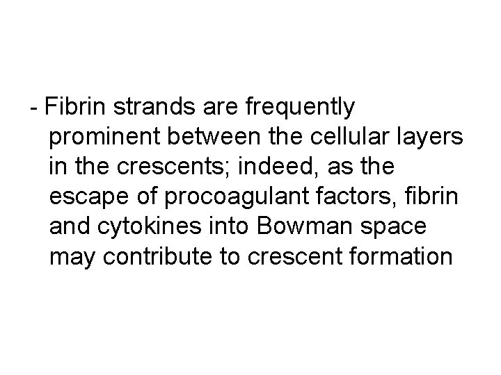 - Fibrin strands are frequently prominent between the cellular layers in the crescents; indeed,