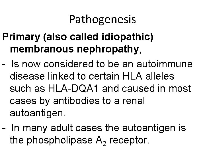 Pathogenesis Primary (also called idiopathic) membranous nephropathy, - Is now considered to be an