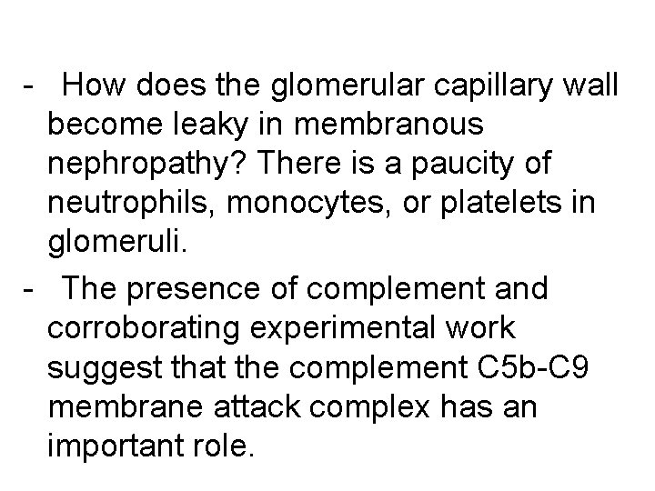 - How does the glomerular capillary wall become leaky in membranous nephropathy? There is