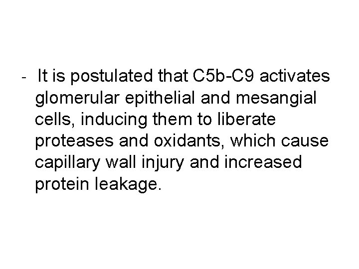 - It is postulated that C 5 b-C 9 activates glomerular epithelial and mesangial