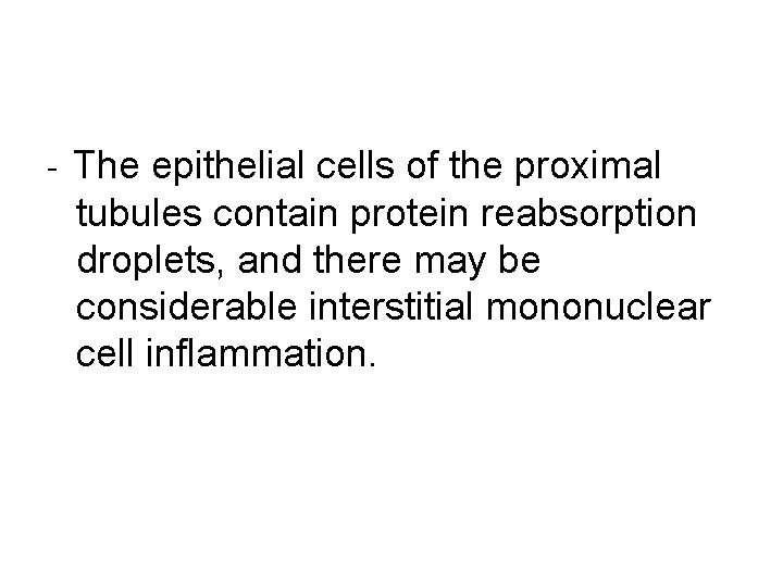 - The epithelial cells of the proximal tubules contain protein reabsorption droplets, and there