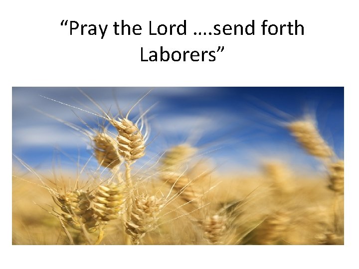 “Pray the Lord …. send forth Laborers” 