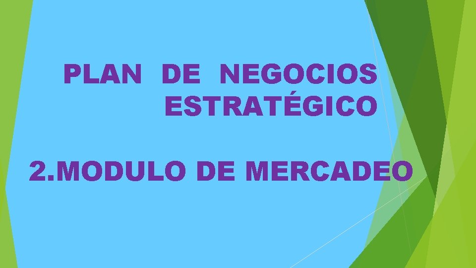 PLAN DE NEGOCIOS ESTRATÉGICO 2. MODULO DE MERCADEO PLAN DE NEGOCIOS ESTRATÉGICO 2. MODULO DE MERCADEO