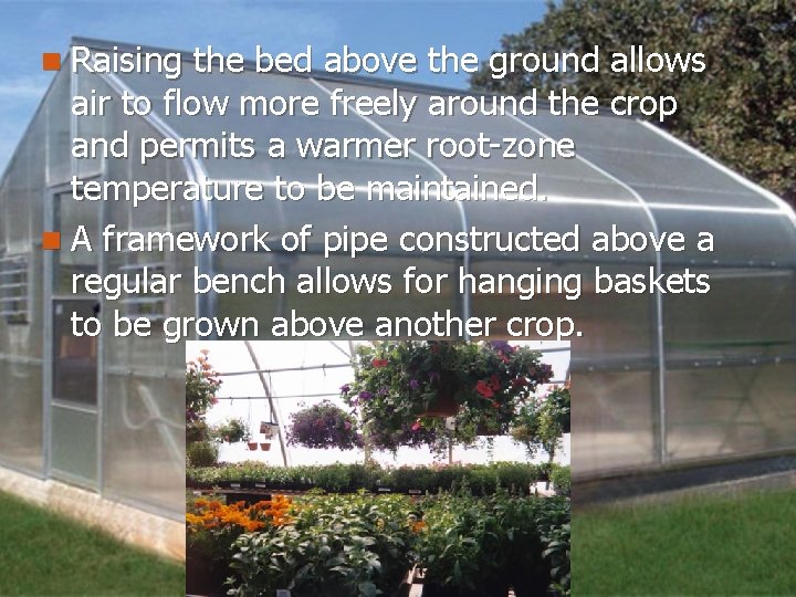 n Raising the bed above the ground allows air to flow more freely around