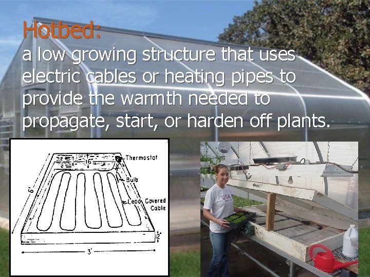 Hotbed: a low growing structure that uses electric cables or heating pipes to provide