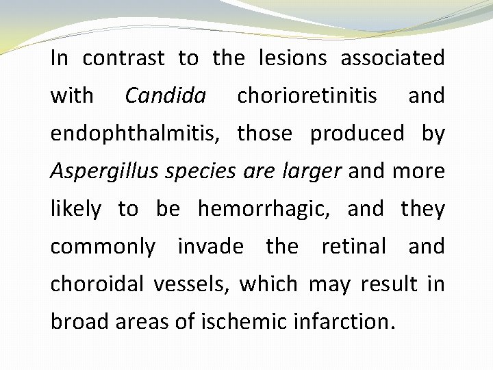 In contrast to the lesions associated with Candida chorioretinitis and endophthalmitis, those produced by