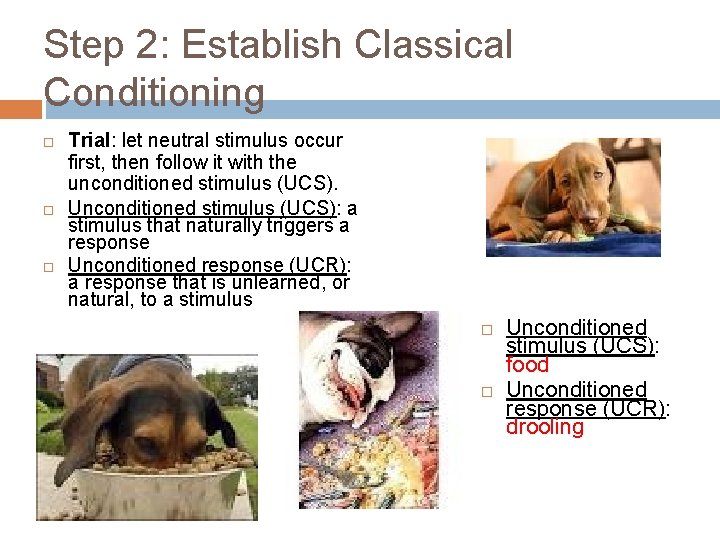 Step 2: Establish Classical Conditioning Trial: let neutral stimulus occur first, then follow it