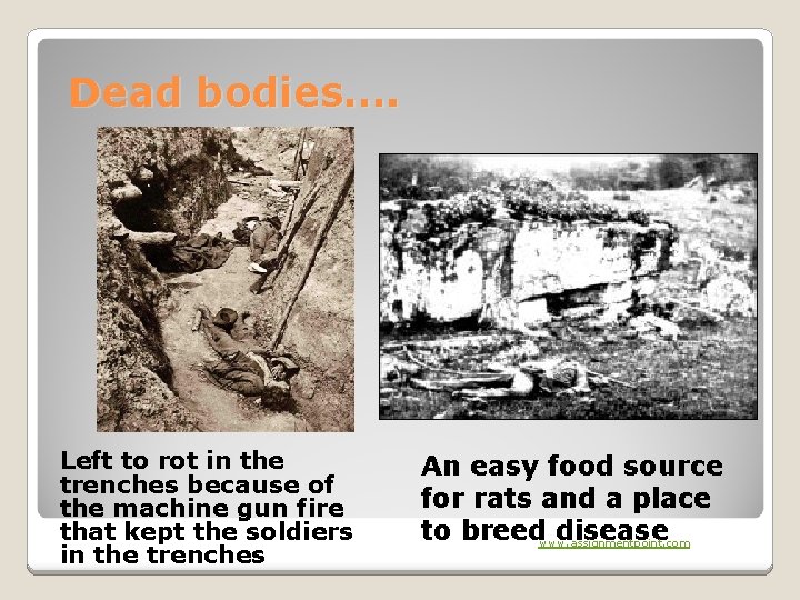 Dead bodies…. Left to rot in the trenches because of the machine gun fire