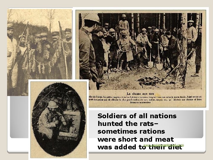 Soldiers of all nations hunted the rats– sometimes rations were short and meat www.