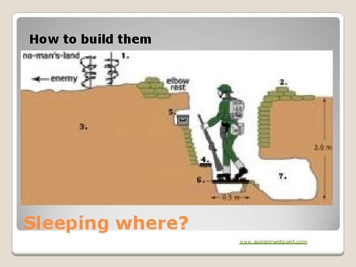 How to build them Sleeping where? www. assignmentpoint. com 