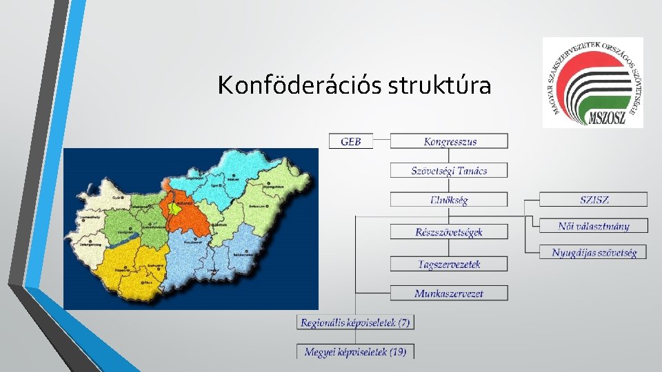 Konföderációs struktúra 