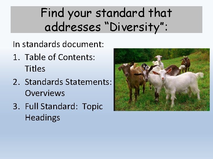 Find your standard that addresses “Diversity”: In standards document: 1. Table of Contents: Titles