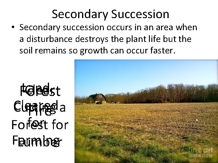 Secondary Succession • Secondary succession occurs in an area when a disturbance destroys the