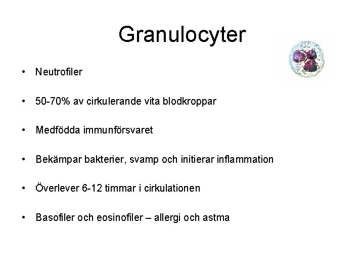 Granulocyter • Neutrofiler • 50 -70% av cirkulerande vita blodkroppar • Medfödda immunförsvaret •