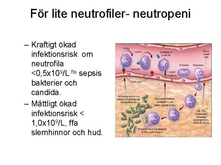 För lite neutrofiler- neutropeni – Kraftigt ökad infektionsrisk om neutrofila <0, 5 x 109/L.