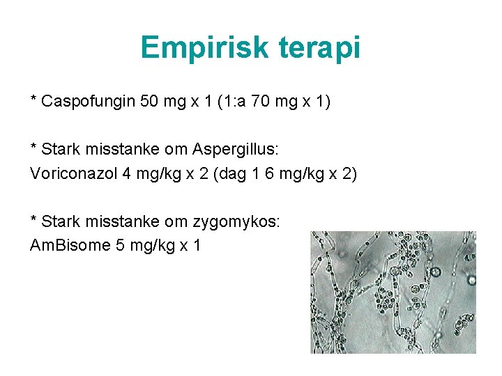 Empirisk terapi * Caspofungin 50 mg x 1 (1: a 70 mg x 1)