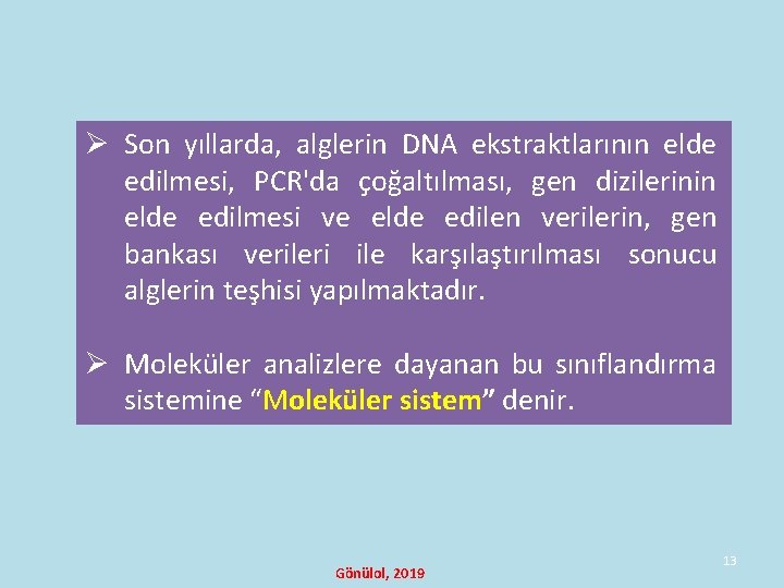 Ø Son yıllarda, alglerin DNA ekstraktlarının elde edilmesi, PCR'da çoğaltılması, gen dizilerinin elde edilmesi Ø Son yıllarda, alglerin DNA ekstraktlarının elde edilmesi, PCR'da çoğaltılması, gen dizilerinin elde edilmesi