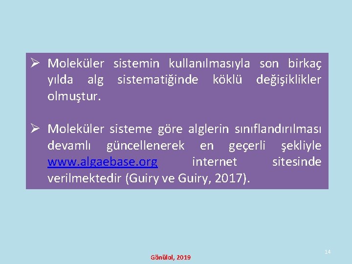 Ø Moleküler sistemin kullanılmasıyla son birkaç yılda alg sistematiğinde köklü değişiklikler olmuştur. Ø Moleküler Ø Moleküler sistemin kullanılmasıyla son birkaç yılda alg sistematiğinde köklü değişiklikler olmuştur. Ø Moleküler