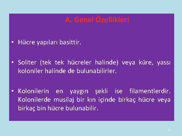 A. Genel Özellikleri • Hücre yapıları basittir. • Soliter (tek hücreler halinde) veya A. Genel Özellikleri • Hücre yapıları basittir. • Soliter (tek hücreler halinde) veya