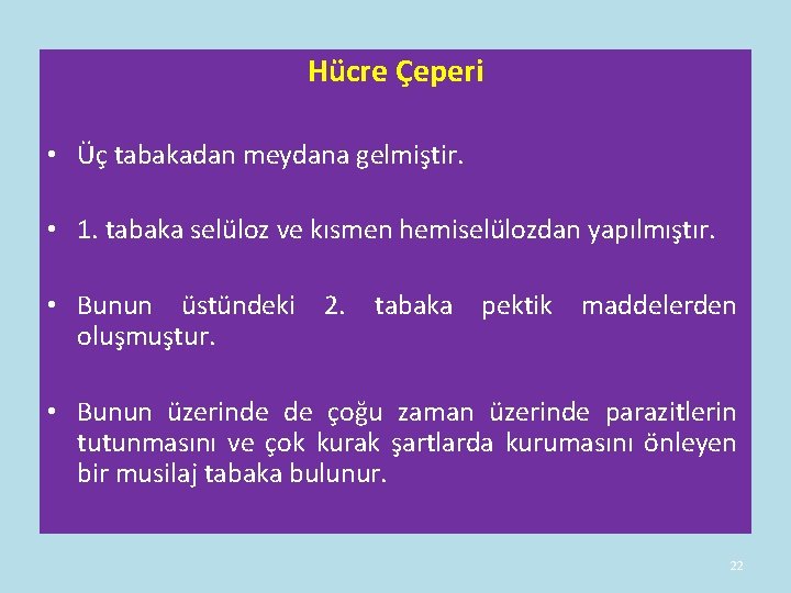 Hücre Çeperi • Üç tabakadan meydana gelmiştir. • 1. tabaka selüloz ve kısmen hemiselülozdan Hücre Çeperi • Üç tabakadan meydana gelmiştir. • 1. tabaka selüloz ve kısmen hemiselülozdan
