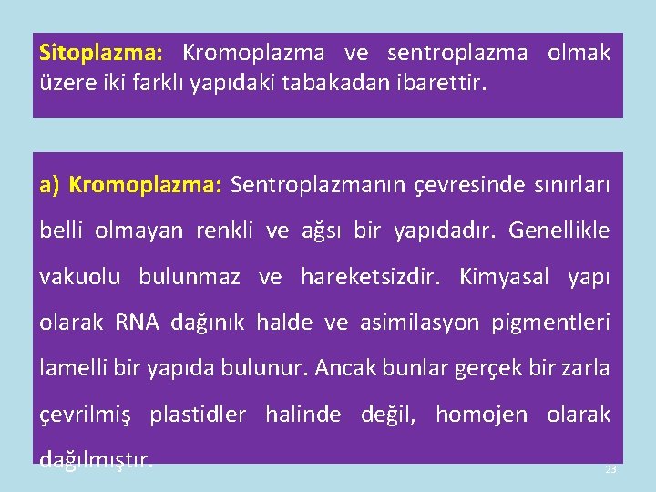 Sitoplazma: Kromoplazma ve sentroplazma olmak üzere iki farklı yapıdaki tabakadan ibarettir. a) Kromoplazma: Sentroplazmanın Sitoplazma: Kromoplazma ve sentroplazma olmak üzere iki farklı yapıdaki tabakadan ibarettir. a) Kromoplazma: Sentroplazmanın
