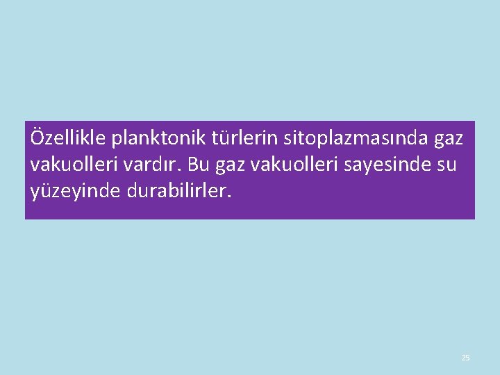 Özellikle planktonik türlerin sitoplazmasında gaz vakuolleri vardır. Bu gaz vakuolleri sayesinde su yüzeyinde durabilirler. Özellikle planktonik türlerin sitoplazmasında gaz vakuolleri vardır. Bu gaz vakuolleri sayesinde su yüzeyinde durabilirler.