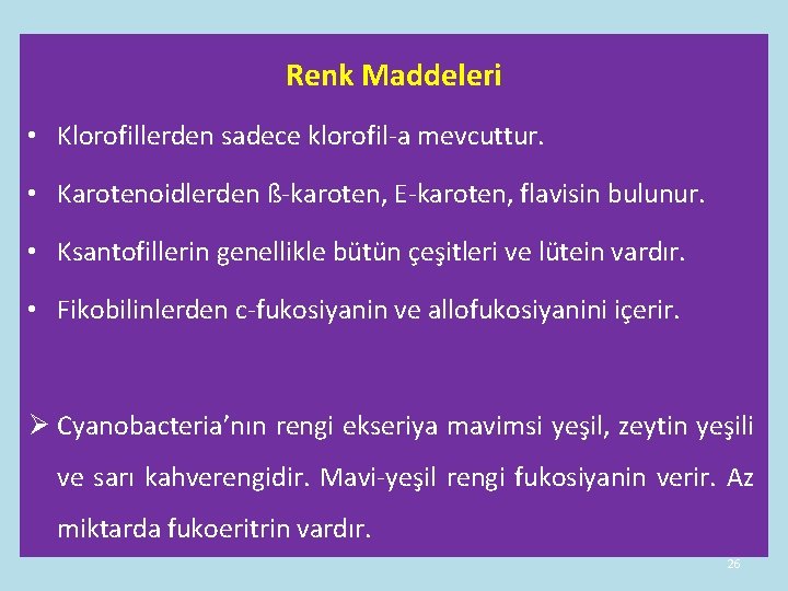 Renk Maddeleri • Klorofillerden sadece klorofil-a mevcuttur. • Karotenoidlerden ß-karoten, E-karoten, flavisin bulunur. • Renk Maddeleri • Klorofillerden sadece klorofil-a mevcuttur. • Karotenoidlerden ß-karoten, E-karoten, flavisin bulunur. •