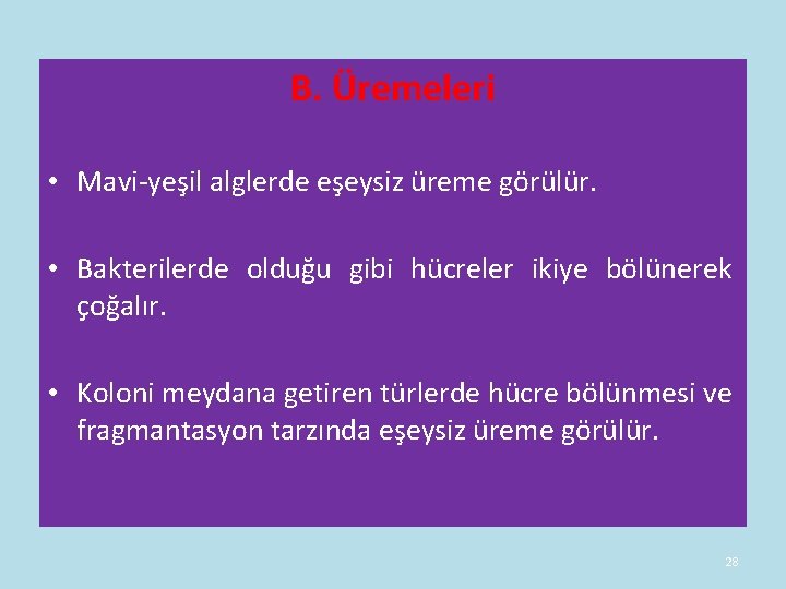 B. Üremeleri • Mavi-yeşil alglerde eşeysiz üreme görülür. • Bakterilerde olduğu gibi hücreler ikiye B. Üremeleri • Mavi-yeşil alglerde eşeysiz üreme görülür. • Bakterilerde olduğu gibi hücreler ikiye