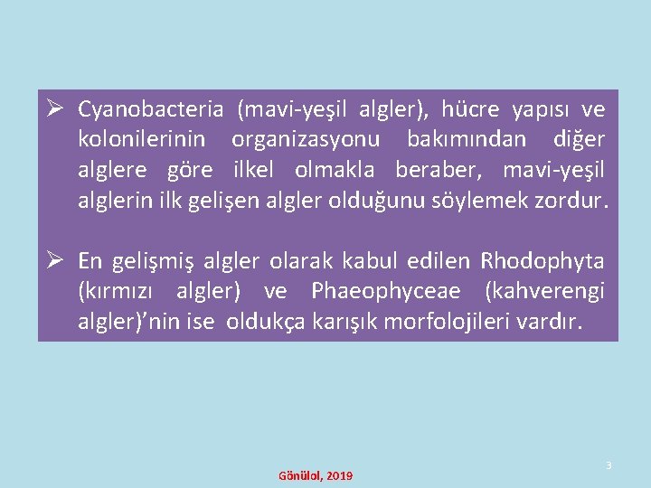 Ø Cyanobacteria (mavi-yeşil algler), hücre yapısı ve kolonilerinin organizasyonu bakımından diğer alglere göre ilkel Ø Cyanobacteria (mavi-yeşil algler), hücre yapısı ve kolonilerinin organizasyonu bakımından diğer alglere göre ilkel