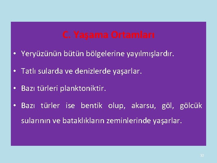 C. Yaşama Ortamları • Yeryüzünün bütün bölgelerine yayılmışlardır. • Tatlı sularda ve denizlerde yaşarlar. C. Yaşama Ortamları • Yeryüzünün bütün bölgelerine yayılmışlardır. • Tatlı sularda ve denizlerde yaşarlar.
