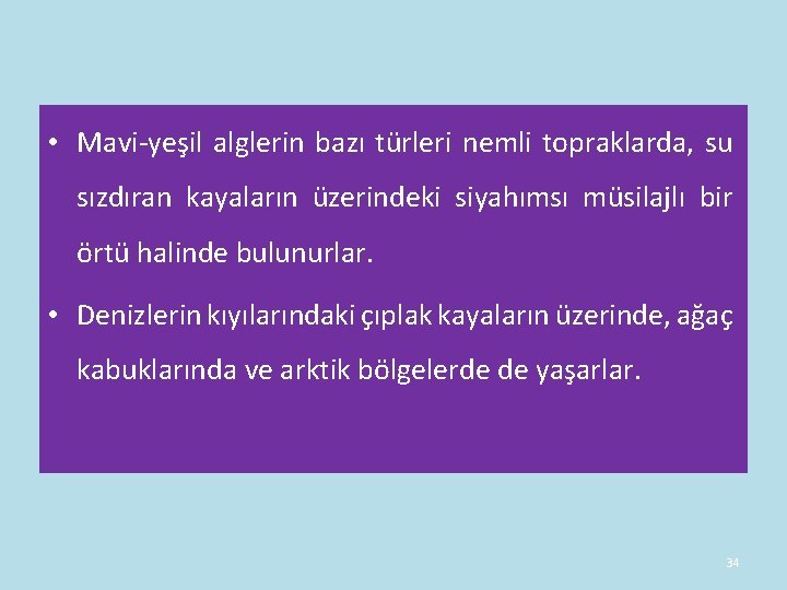 • Mavi-yeşil alglerin bazı türleri nemli topraklarda, su sızdıran kayaların üzerindeki siyahımsı müsilajlı • Mavi-yeşil alglerin bazı türleri nemli topraklarda, su sızdıran kayaların üzerindeki siyahımsı müsilajlı