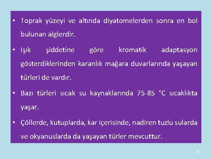 • Toprak yüzeyi ve altında diyatomelerden sonra en bol bulunan alglerdir. • Işık • Toprak yüzeyi ve altında diyatomelerden sonra en bol bulunan alglerdir. • Işık