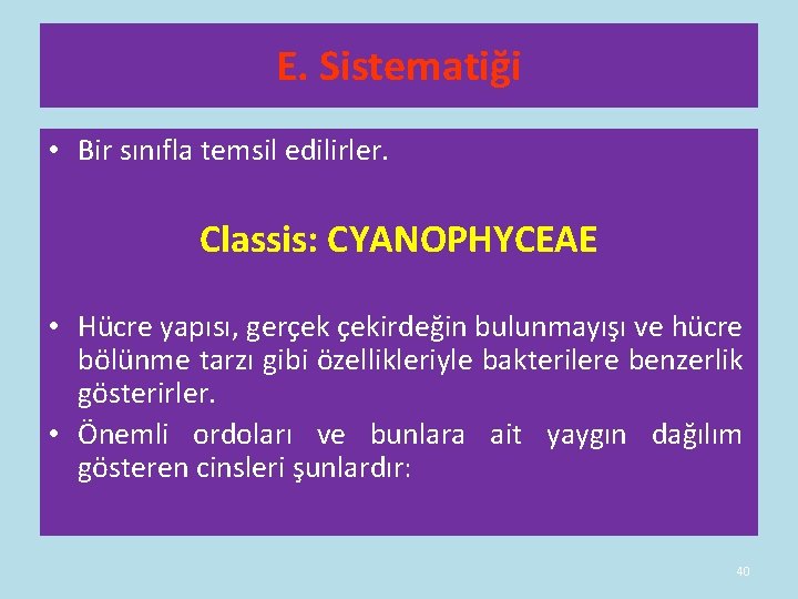 E. Sistematiği • Bir sınıfla temsil edilirler. Classis: CYANOPHYCEAE • Hücre yapısı, gerçek çekirdeğin E. Sistematiği • Bir sınıfla temsil edilirler. Classis: CYANOPHYCEAE • Hücre yapısı, gerçek çekirdeğin