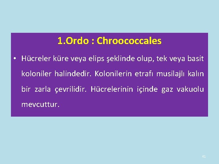 1. Ordo : Chroococcales • Hücreler küre veya elips şeklinde olup, tek veya basit 1. Ordo : Chroococcales • Hücreler küre veya elips şeklinde olup, tek veya basit