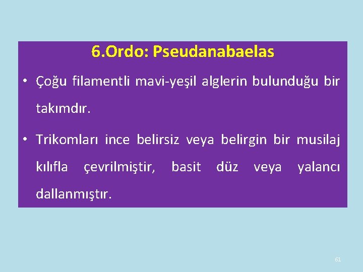 6. Ordo: Pseudanabaelas • Çoğu filamentli mavi-yeşil alglerin bulunduğu bir takımdır. • Trikomları ince 6. Ordo: Pseudanabaelas • Çoğu filamentli mavi-yeşil alglerin bulunduğu bir takımdır. • Trikomları ince