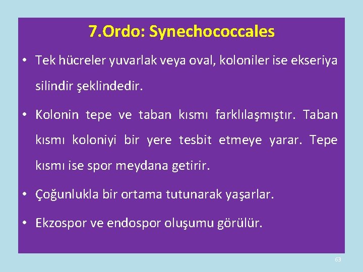 7. Ordo: Synechococcales • Tek hücreler yuvarlak veya oval, koloniler ise ekseriya silindir şeklindedir. 7. Ordo: Synechococcales • Tek hücreler yuvarlak veya oval, koloniler ise ekseriya silindir şeklindedir.