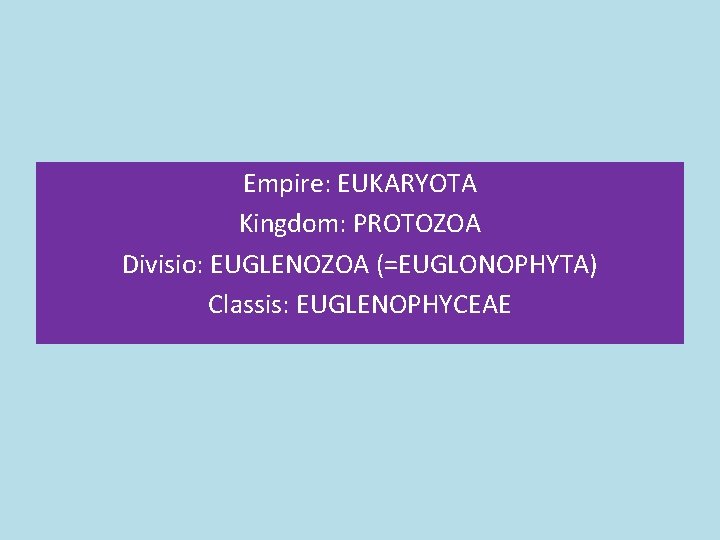Empire: EUKARYOTA Kingdom: PROTOZOA Divisio: EUGLENOZOA (=EUGLONOPHYTA) Classis: EUGLENOPHYCEAE Empire: EUKARYOTA Kingdom: PROTOZOA Divisio: EUGLENOZOA (=EUGLONOPHYTA) Classis: EUGLENOPHYCEAE