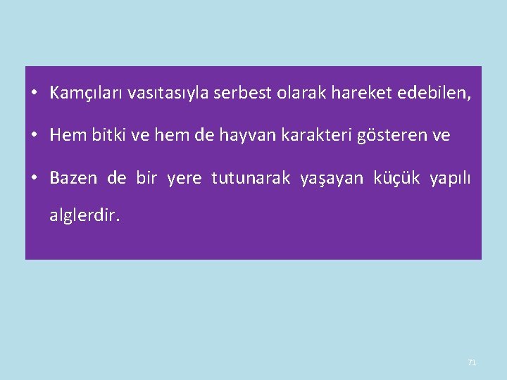 • Kamçıları vasıtasıyla serbest olarak hareket edebilen, • Hem bitki ve hem de • Kamçıları vasıtasıyla serbest olarak hareket edebilen, • Hem bitki ve hem de