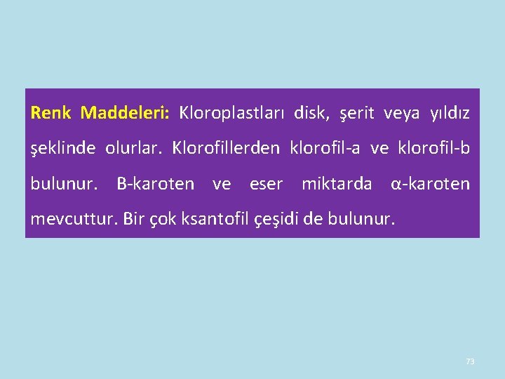 Renk Maddeleri: Kloroplastları disk, şerit veya yıldız şeklinde olurlar. Klorofillerden klorofil-a ve klorofil-b bulunur. Renk Maddeleri: Kloroplastları disk, şerit veya yıldız şeklinde olurlar. Klorofillerden klorofil-a ve klorofil-b bulunur.