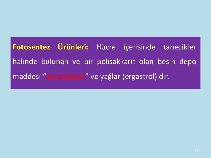 Fotosentez Ürünleri: Hücre içerisinde tanecikler halinde bulunan ve bir polisakkarit olan besin depo maddesi Fotosentez Ürünleri: Hücre içerisinde tanecikler halinde bulunan ve bir polisakkarit olan besin depo maddesi