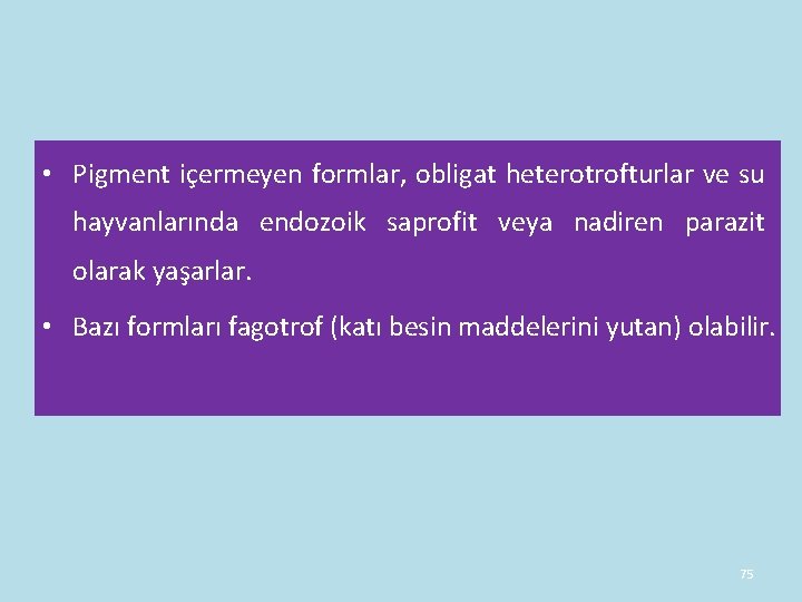 • Pigment içermeyen formlar, obligat heterotrofturlar ve su hayvanlarında endozoik saprofit veya nadiren • Pigment içermeyen formlar, obligat heterotrofturlar ve su hayvanlarında endozoik saprofit veya nadiren