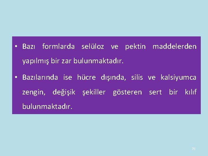• Bazı formlarda selüloz ve pektin maddelerden yapılmış bir zar bulunmaktadır. • Bazılarında • Bazı formlarda selüloz ve pektin maddelerden yapılmış bir zar bulunmaktadır. • Bazılarında