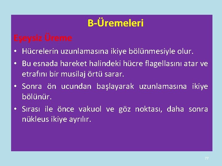 B-Üremeleri Eşeysiz Üreme • Hücrelerin uzunlamasına ikiye bölünmesiyle olur. • Bu esnada hareket B-Üremeleri Eşeysiz Üreme • Hücrelerin uzunlamasına ikiye bölünmesiyle olur. • Bu esnada hareket