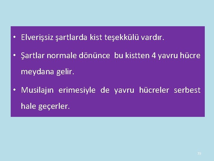 • Elverişsiz şartlarda kist teşekkülü vardır. • Şartlar normale dönünce bu kistten 4 • Elverişsiz şartlarda kist teşekkülü vardır. • Şartlar normale dönünce bu kistten 4