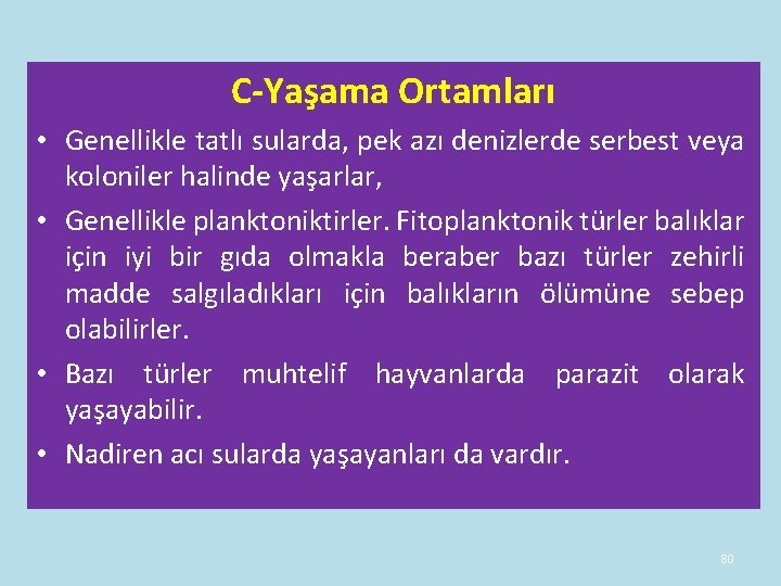 C-Yaşama Ortamları • Genellikle tatlı sularda, pek azı denizlerde serbest veya koloniler halinde yaşarlar, C-Yaşama Ortamları • Genellikle tatlı sularda, pek azı denizlerde serbest veya koloniler halinde yaşarlar,