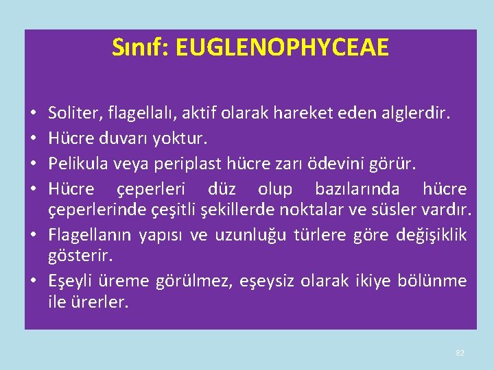 Sınıf: EUGLENOPHYCEAE Soliter, flagellalı, aktif olarak hareket eden alglerdir. Hücre duvarı yoktur. Pelikula veya Sınıf: EUGLENOPHYCEAE Soliter, flagellalı, aktif olarak hareket eden alglerdir. Hücre duvarı yoktur. Pelikula veya