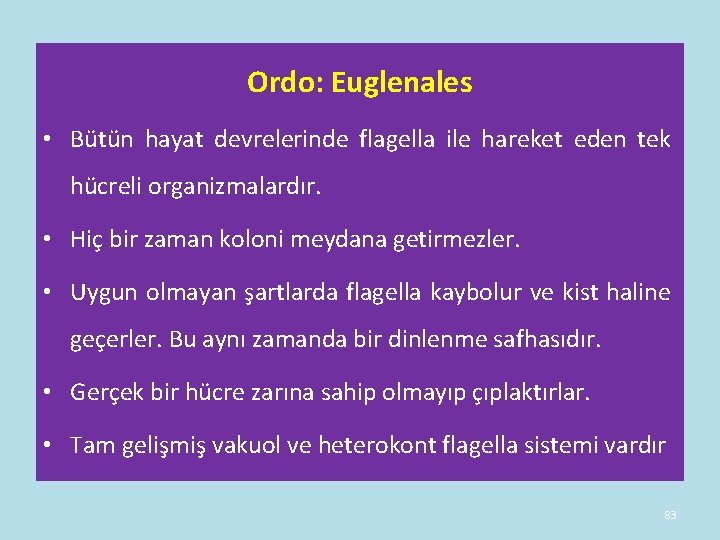 Ordo: Euglenales • Bütün hayat devrelerinde flagella ile hareket eden tek hücreli organizmalardır. • Ordo: Euglenales • Bütün hayat devrelerinde flagella ile hareket eden tek hücreli organizmalardır. •