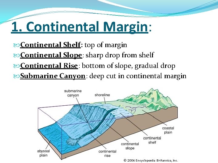 1. Continental Margin: Continental Shelf: top of margin Continental Slope: sharp drop from shelf