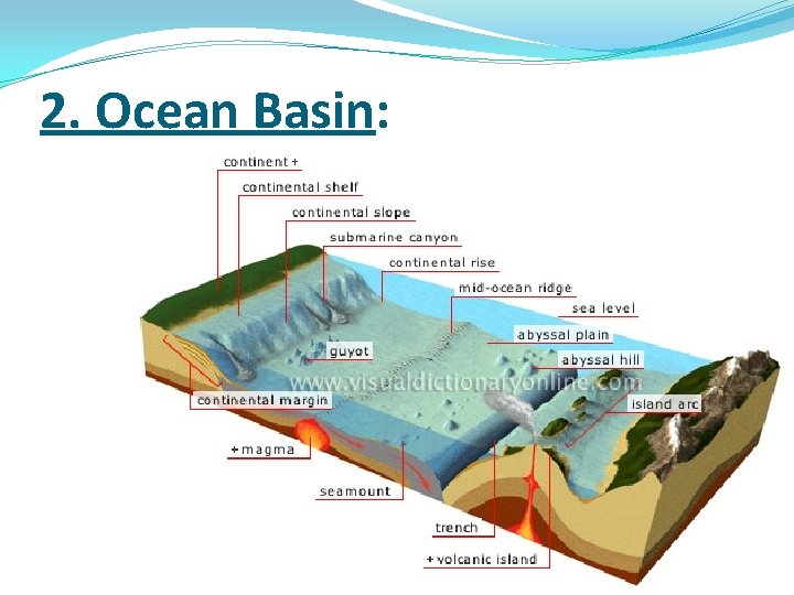 2. Ocean Basin: 