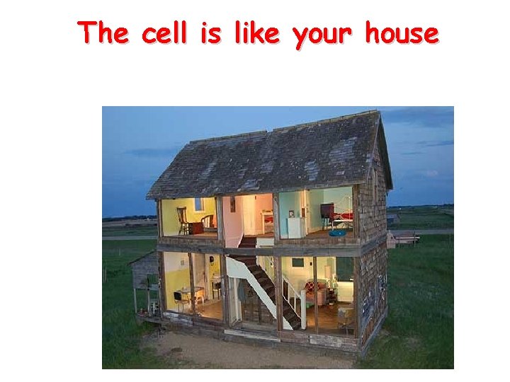The cell is like your house 